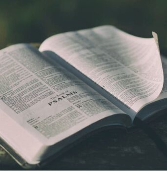 Salmos mais bonitos: 6 opções da BÍBLIA para refletir, aprender e mudar