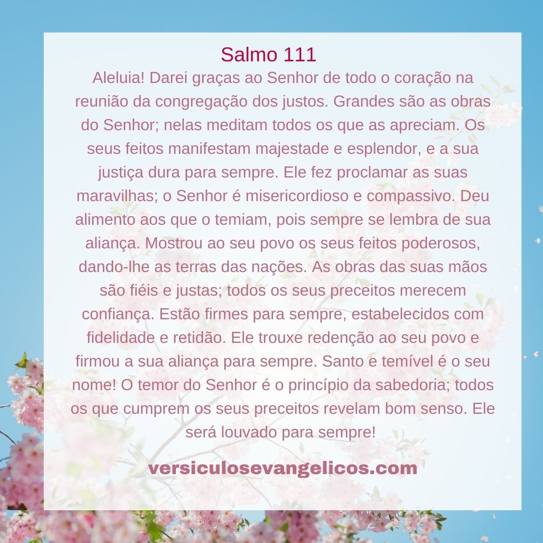 imagem do salmo 111