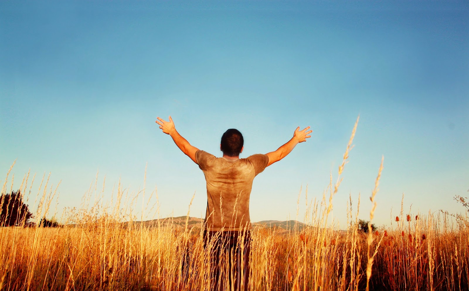 homem olhando para o céu de braços abertos dentro do mato seco e céu azul glorificando a Deus