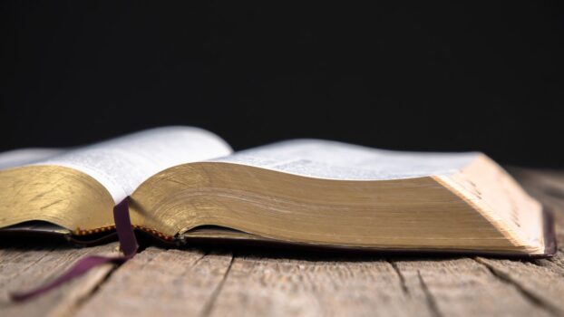 LOUCURA: confira os 14 versículos sobre loucura e entenda o que a Bíblia diz