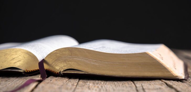 LOUCURA: confira os 14 versículos sobre loucura e entenda o que a Bíblia diz