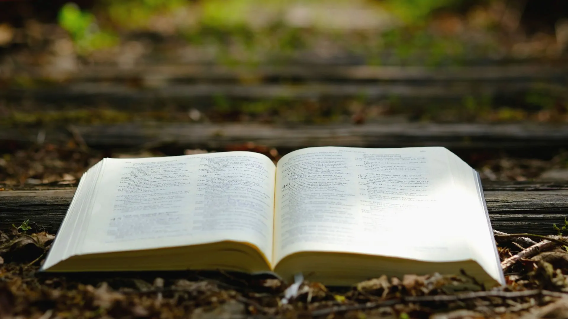25 Versículos para evangelizar pessoas não CRENTES e trazê-las para Jesus